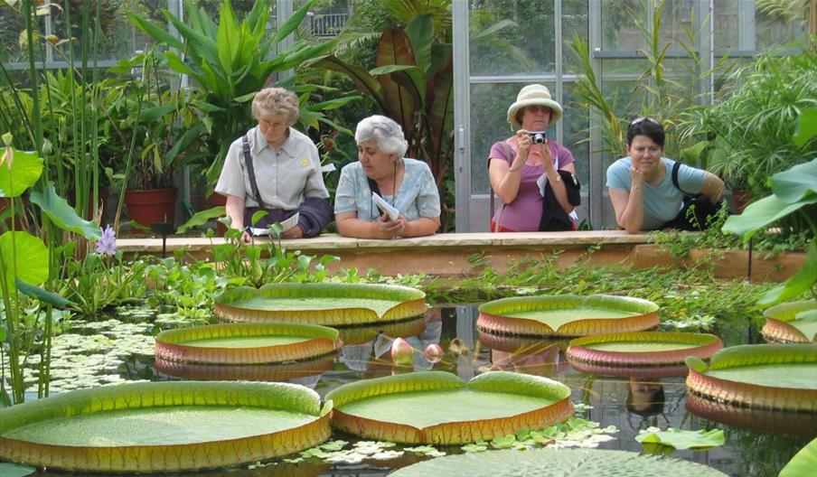 University of Bristol Botanic Garden