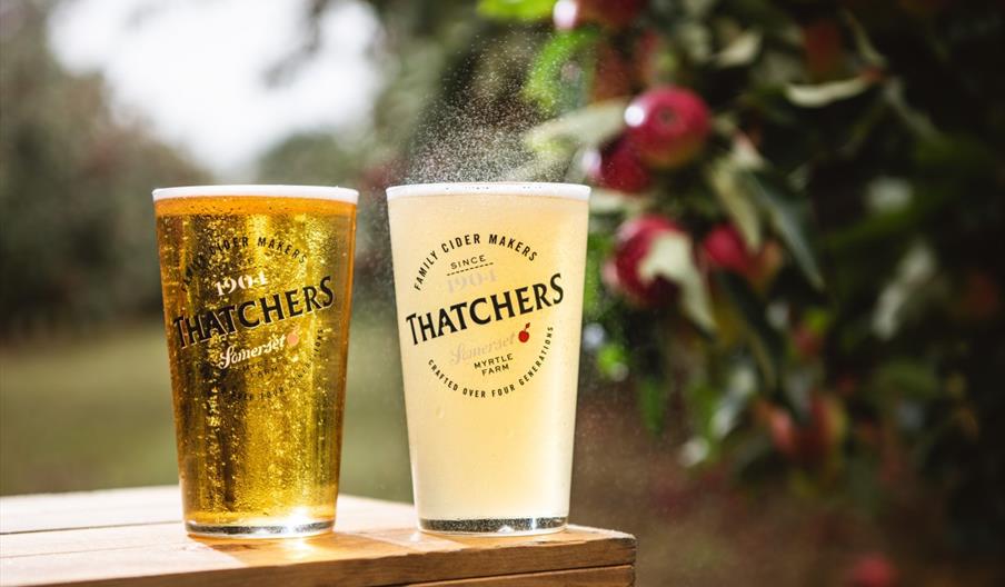 Thatchers Cider