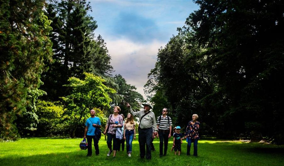 Westonbirt hero image - credit Johnny Hathaway