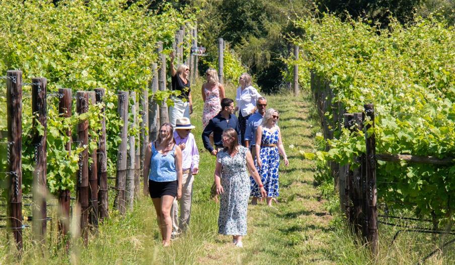 Woodchester Valley Vineyard - Vineyard Tour
