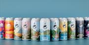 Selection of beers