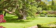 Bath Priory Garden Path