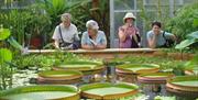 University of Bristol Botanic Garden