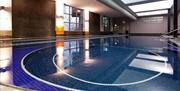 Swimming pool at DoubleTree by Hilton Cadbury House