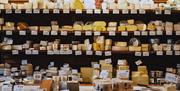 A wall of shelves behind a countertop, both full of a large selection of cheeses.