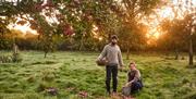 ECT Travel Cider Farm Experience