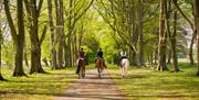 Lucknam Park Equestrian Centre