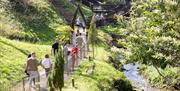 Wookey Hole - Dinosaur Valley - Credit Paul Box